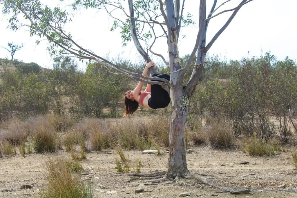 Person hanging upside down from tree in nature.