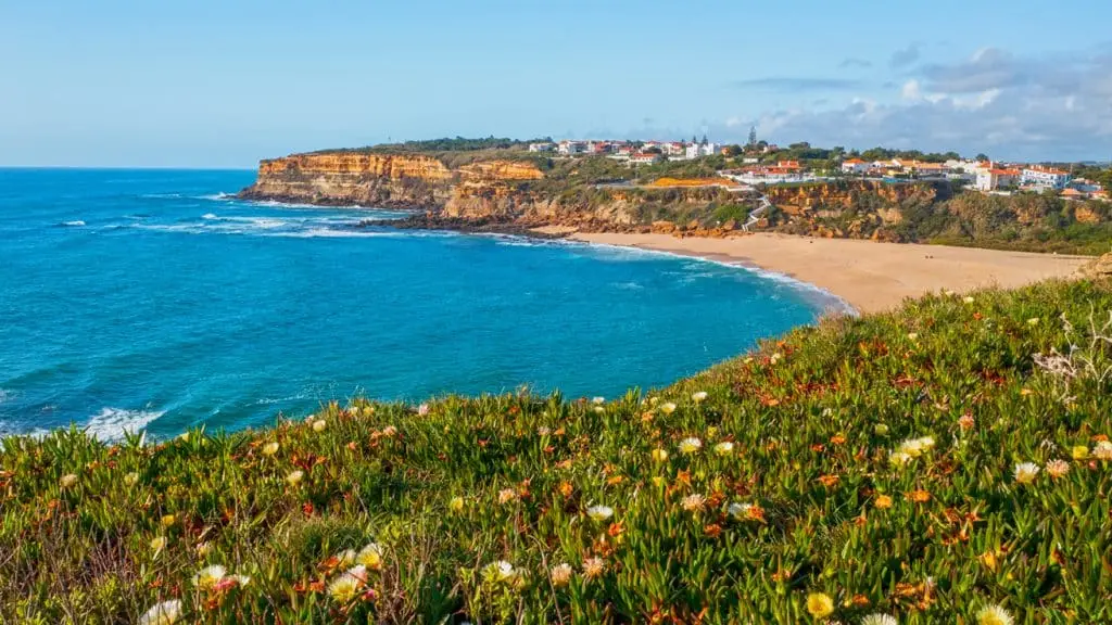 Coastal cliff, sandy beach, flowering plants, sunny day.